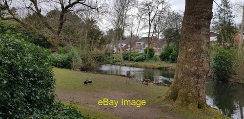 Photo 12x8 pond off - pond,